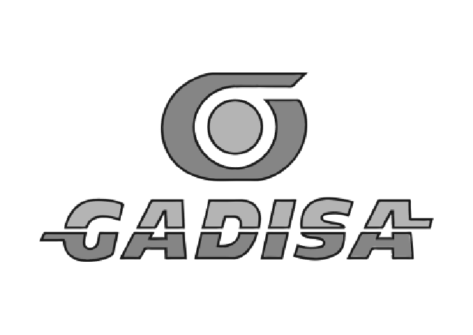 gadisa
