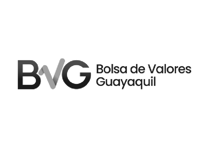 bvg